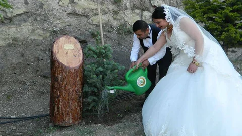 Amasya'da Nikah Ormanı Etkinliği