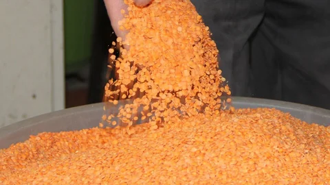 Kızıltepe'de Kırmızı Mercimek Sorunu