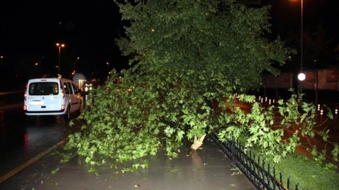 Yalova'da Fırtına ve Sağanak Yağış Etkili Oldu