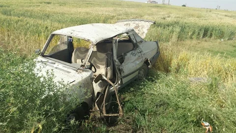 Ceylanpınar'da Trafik Kazası!