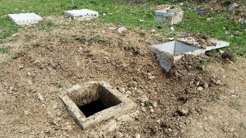 Bolu'da Ayı Kurtarma Operasyonu