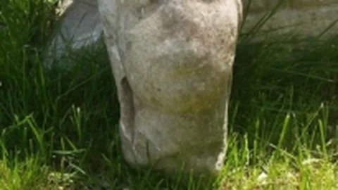 Edirne Keşan'da Tarihi Eser Bulundu