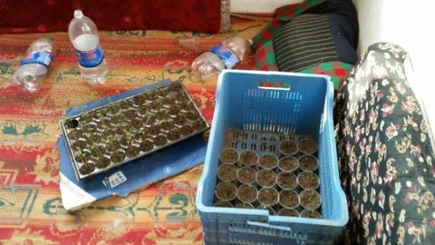 Edirne'de Kenevir Operasyonu