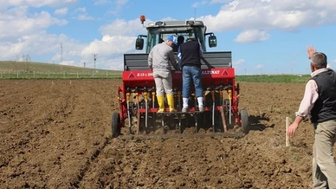 Yozgat'ta Nohut Ekimi Denemesi Yapıldı