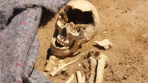 Sinop'ta Kültür Merkezi Projesiyle Tarihi Eserler Sergilenecek