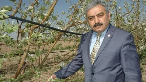 Karaman'da Don Zararının Maliyeti 336 Milyon Lira