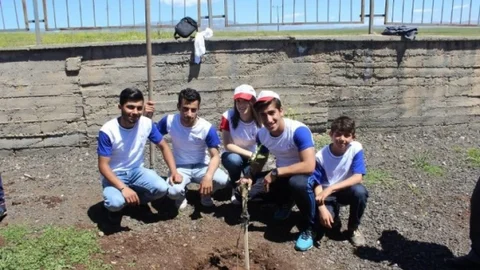 Cizre'de Ağaç Dikme Etkinliği