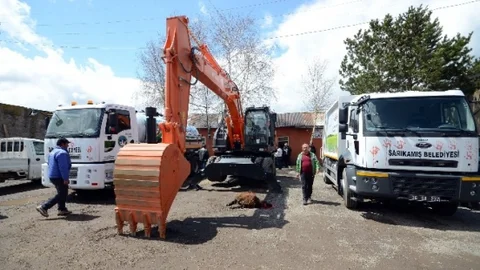 Sarıkamış Belediyesi Yeni Araçlar Edindi