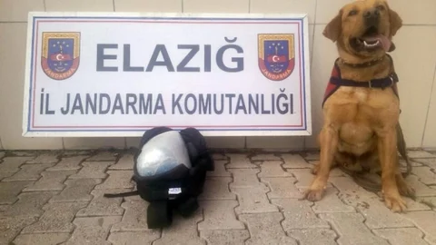 Elazığ'da Uyuşturucu Yakalandı