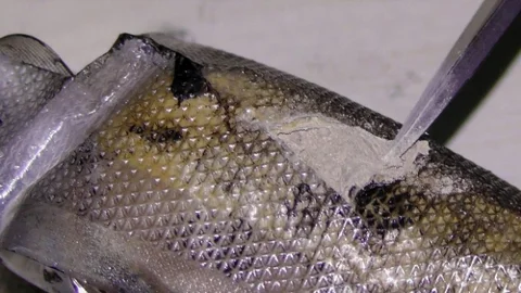 Edirne'de Uyuşturucu Operasyonu