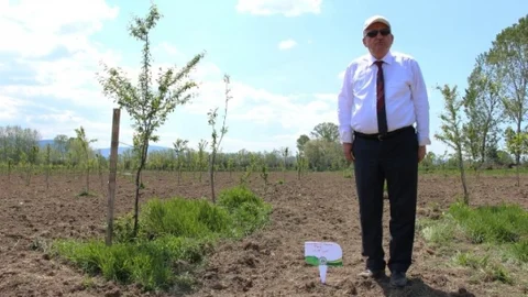 Bolu'da Bebek Meyve Bahçesi Gelişiyor