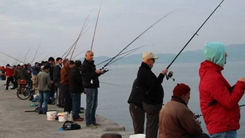 Fatsa'da Hobi Balıkçılığı Keyfi Artıyor