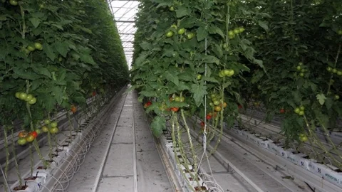 Diyadin'de Tarıma Dayalı Proje