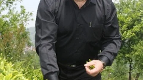 Rize'de Çay Sektörü Gelişiyor