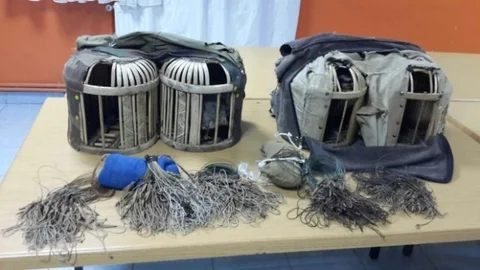 Bingöl'de Kaçak Avcılar Yakalandı