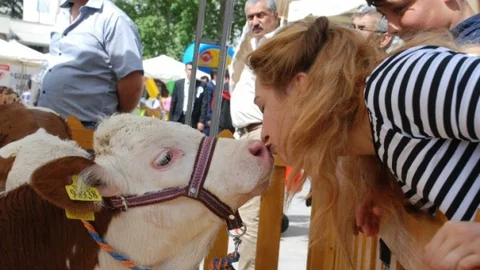 Tokat'ta Süt Dağıtımı Etkinliği