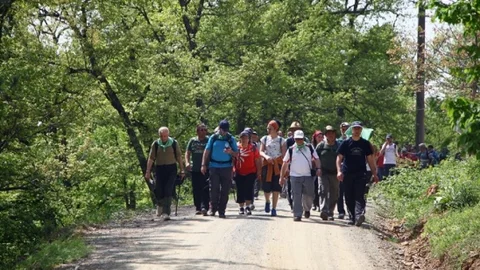Sakarya'da Doğa Yürüyüşü Etkinliği