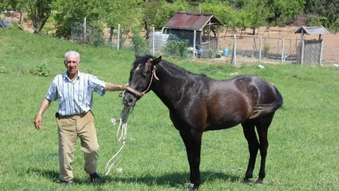 Edirne'de Çoban İşini Bıraktı