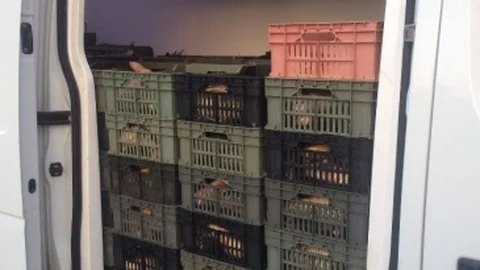 Çorum'da Kaçak Balık Avı Operasyonu