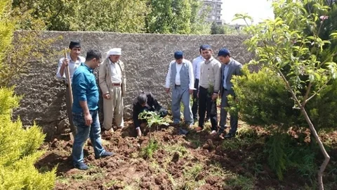 İdil'de Ağaçlandırma Projesi Devam Ediyor