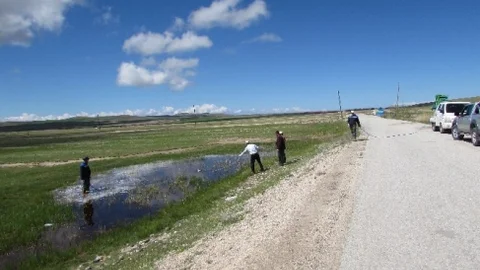 Tuşba'da Haşereyle Mücadele Devam Ediyor