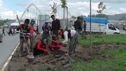 Muş'ta Yeşil Alan Çalışmaları Başladı