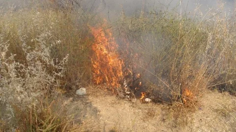 Şanlıurfa'da Anız Yangını Paniğe Neden Oldu