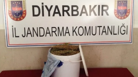 Diyarbakır'da Uyuşturucu Operasyonu