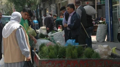 Siirt'te Peynir Otu Satışı Başladı