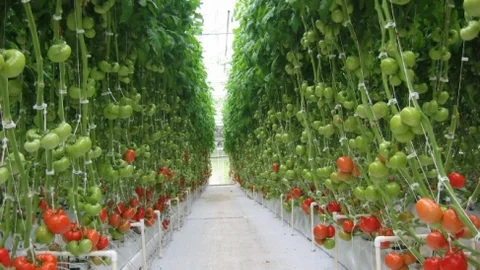 Manisa Tarımda Yeni Dönem Başladı