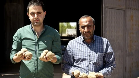 Patates Fiyatları Ahlat'ta Yükseliyor