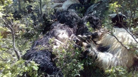 Çorum'da Yıldırım Düşmesi Olayı