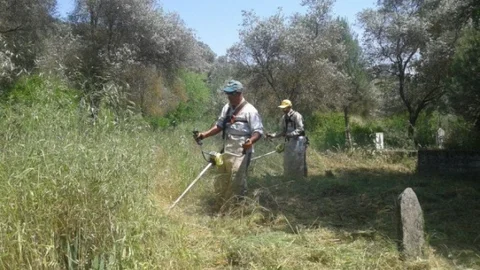 Köşk'te Mezarlıklar Bakımda