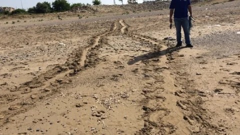 Caretta Caretta'lar Kızılot'ta Yumurtladı