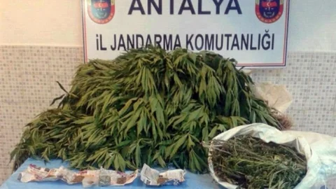 Antalya'da Uyuşturucu Operasyonu Yapıldı