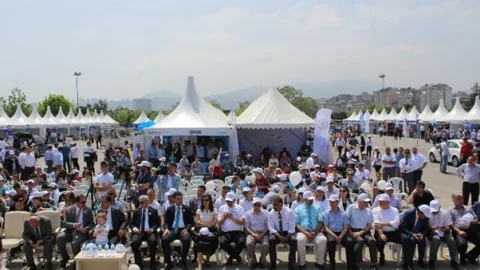 Samsun'da İstihdam ve Öğrenme Etkinlikleri