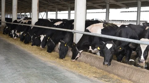 Kayseri'de Arazi Islahı Projesi