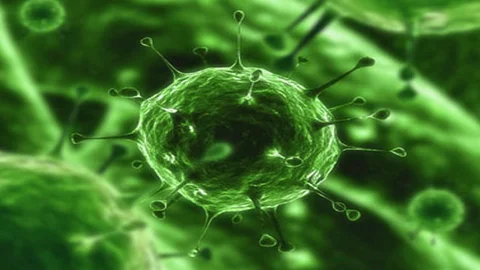 Hayvanlardan Bulaşan Hastalıklara Dikkat!