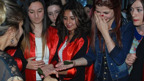 Tokat'ta Mezuniyet Kına Gecesi