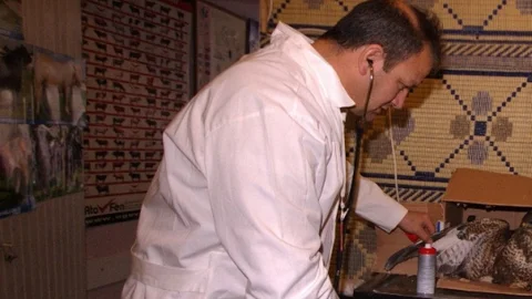 Karaman'da Yaralı Doğan Tedavi Oldu