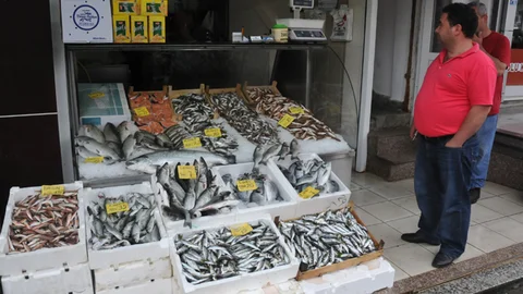 Balık Fiyatları Yükselişte