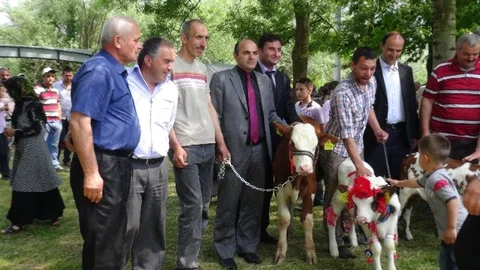 Düzce'de Süt Günü Etkinliği