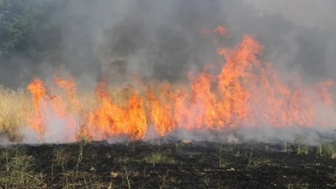 Manisa'da Yangın Felaketi