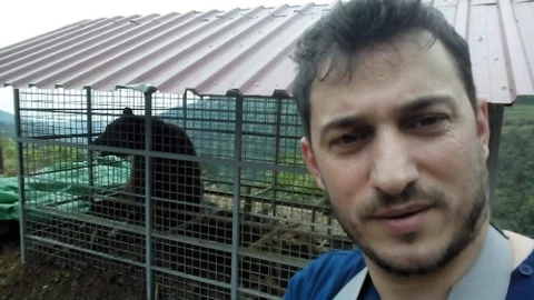 Trabzon'da Ayı Tuzakla Yakalandı