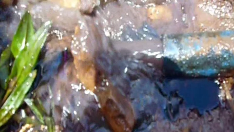 Güzelöz Köyü'nde Petrol Bulundu