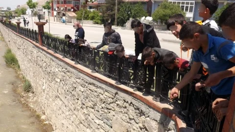 Van Gölü'nde İnci Kefali Avı