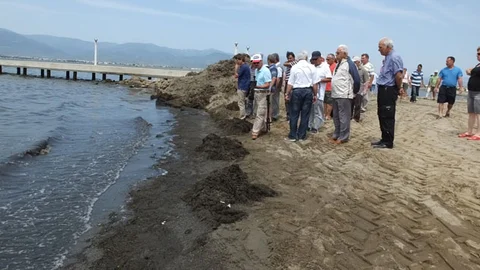 Burhaniye'de Deniz Kirliliği Protestosu