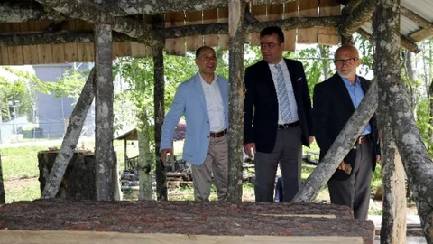 Samsun'da Yaşam Kalitesi Artıyor