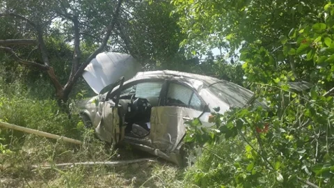 Kocaeli'de Otomobil Kiraz Bahçesine Uçtu