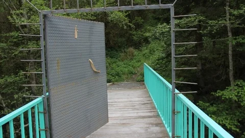 Rize'de Şimşir Ormanını Koruma Çabası